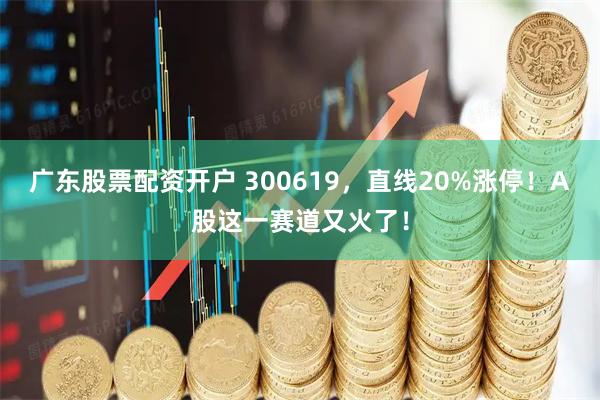 广东股票配资开户 300619，直线20%涨停！A股这一赛道又火了！