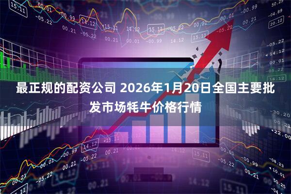 最正规的配资公司 2026年1月20日全国主要批发市场牦牛价格行情